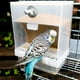 thumbnail image 4 of Comedero para pájaros Comederos para pájaros pequeños Dispensador de comida transparente Automático Exterior para mascotas Transparente, 4 of 6