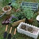 thumbnail image 5 of 3 PCS Mini Gardening Tools,Gardening Kit Set of Small Shovel Spade Small Rake Handle, 5 of 5