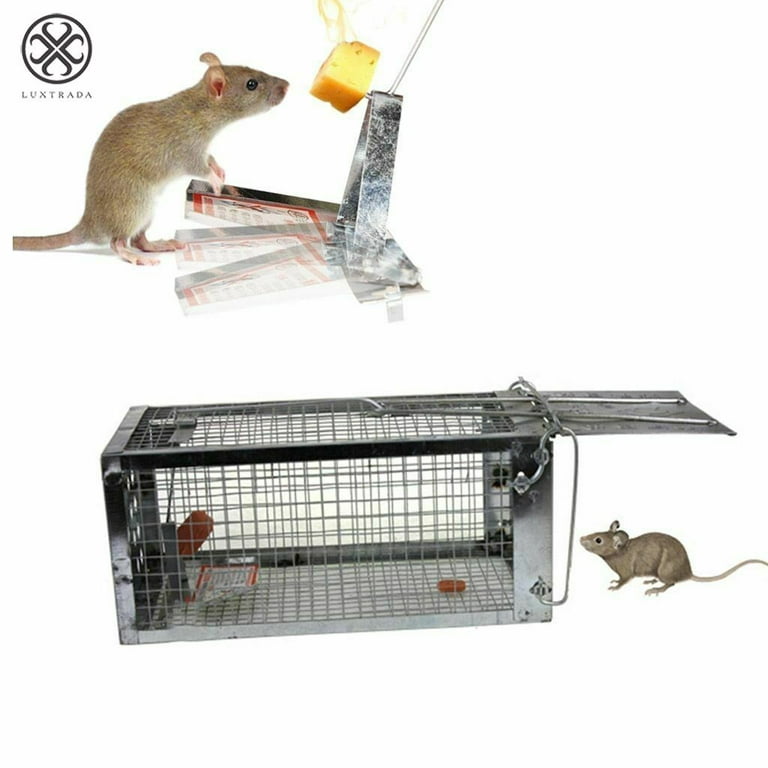 Knock Off Knock Off Rat Trap Alive View them here!