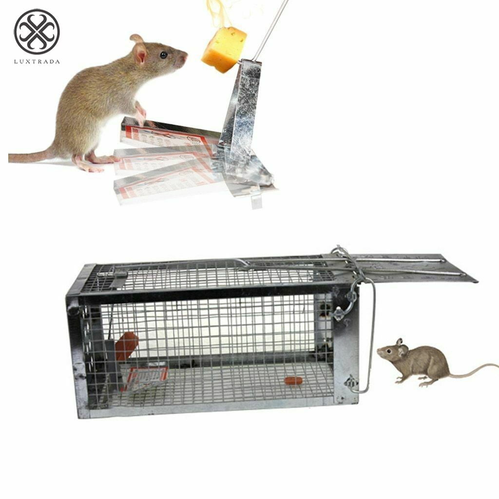 Luxtrada 2pcs Small Animal Humane Live Cage Rat Mouse Mice Chipmunk Small Rodent Catch Trap for Indoor and Outdoor for Gopher Opossum Skunk Groundhog Squirrel Spay Feral Stray Cats Rescue Wild Rabbits