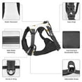thumbnail image 5 of Naloa Gold Rabbit Print Dog Harness, Pet Harness Vest with Traction Rope, Dog Vest for Outdoor, Walking-X-Large, 5 of 5