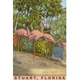 thumbnail image 2 of Art.com Flamingos, Stuart, Florida Art Print, 12" x 18", 2 of 4