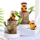 thumbnail image 1 of pstuiky Juego de 3 macetas decorativas de madera brasileña para el hogar y la oficina, 1 of 9