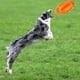 thumbnail image 5 of Juguete para Perro Mordedura Resistente Bola Chirriante Naranja Sunnimix, 5 of 8