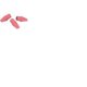 thumbnail image 1 of Staples Pink Eraser Caps Paquete de 12 Staples 22876541166, 1 of 1