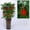 B, variant on New Year Decoration Set Spring Festival Chinese Knot Decoration Fortune New Year Family Restaurant Family Car Tree Spring Festival Decoration Beads for Doorways