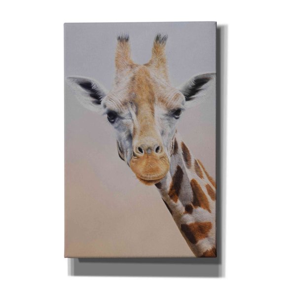 Epic Graffiti 'Evie' by Sam Dolman, Canvas Wall Art, 26"x40"