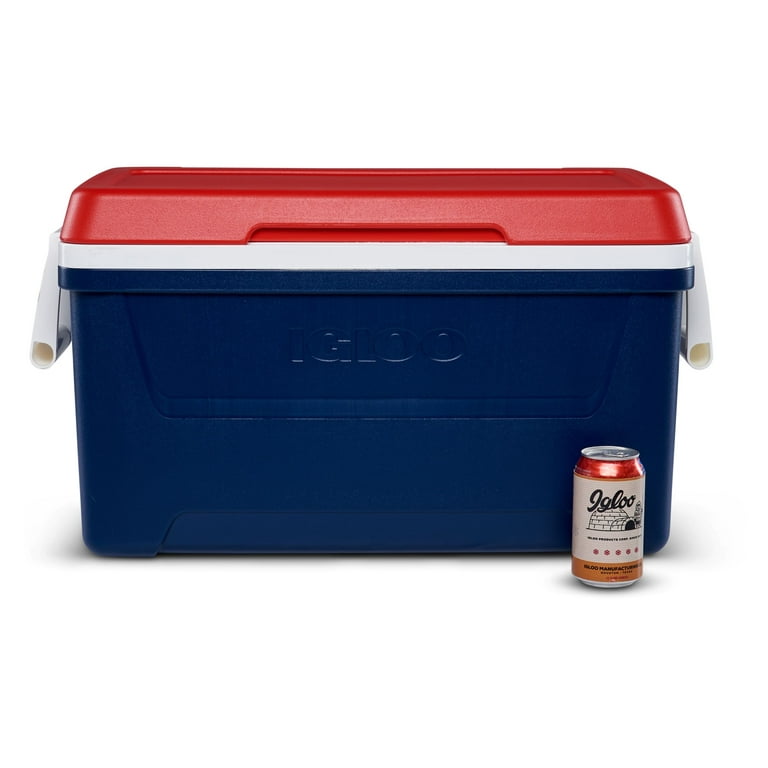 レッドアイズ ブルーアイズ セット BGS 9.5 レッドアイズ ブルーアイズ セット BGS 9.5 【公式通販】