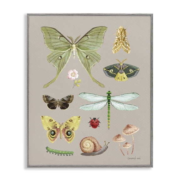 Stupell Industries Contemporary Various Insect Studies Gray Framed Giclee Art, 16 x 20, by Danhui Nai