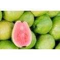 thumbnail image 2 of SW Guava 50gram Leaves, 2 of 4