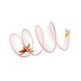 thumbnail image 3 of Milaget Cat Tunnel Toy Folding Kitten with Ball Interactive Cat Toy Rabbit Kitten Tunnel Pink, 3 of 9
