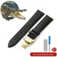 thumbnail image 3 of Correa de reloj de piel de cocodrilo de cuero genuino para hombre y mujer, hebilla de mariposa con aguja para Mido Longines Famous Master Omega IWC Watchband, 3 of 5