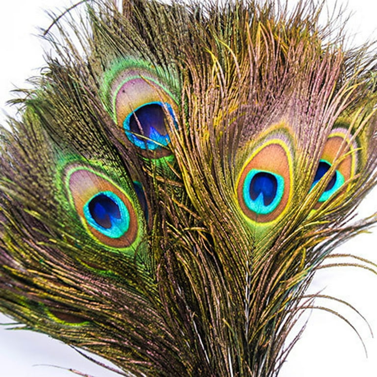 10PCS Natural Peacock Feathers - Real Tail Eye Feathers 10-12" For Wedding Decor, DIY Crafts, Centerpieces