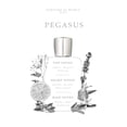 thumbnail image 3 of Eau de Parfum PARFUMS DE MARLY Pegasus 125 ml Hombre, 3 of 5