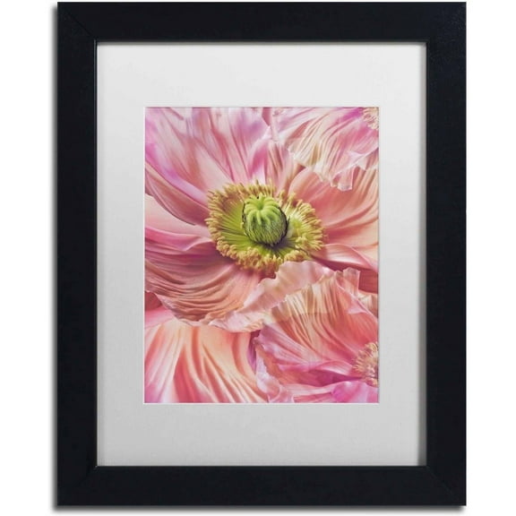 Trademark Fine Art 'Cerise Pink Poppy' Canvas Art by Cora Niele, White Matte, Black Frame