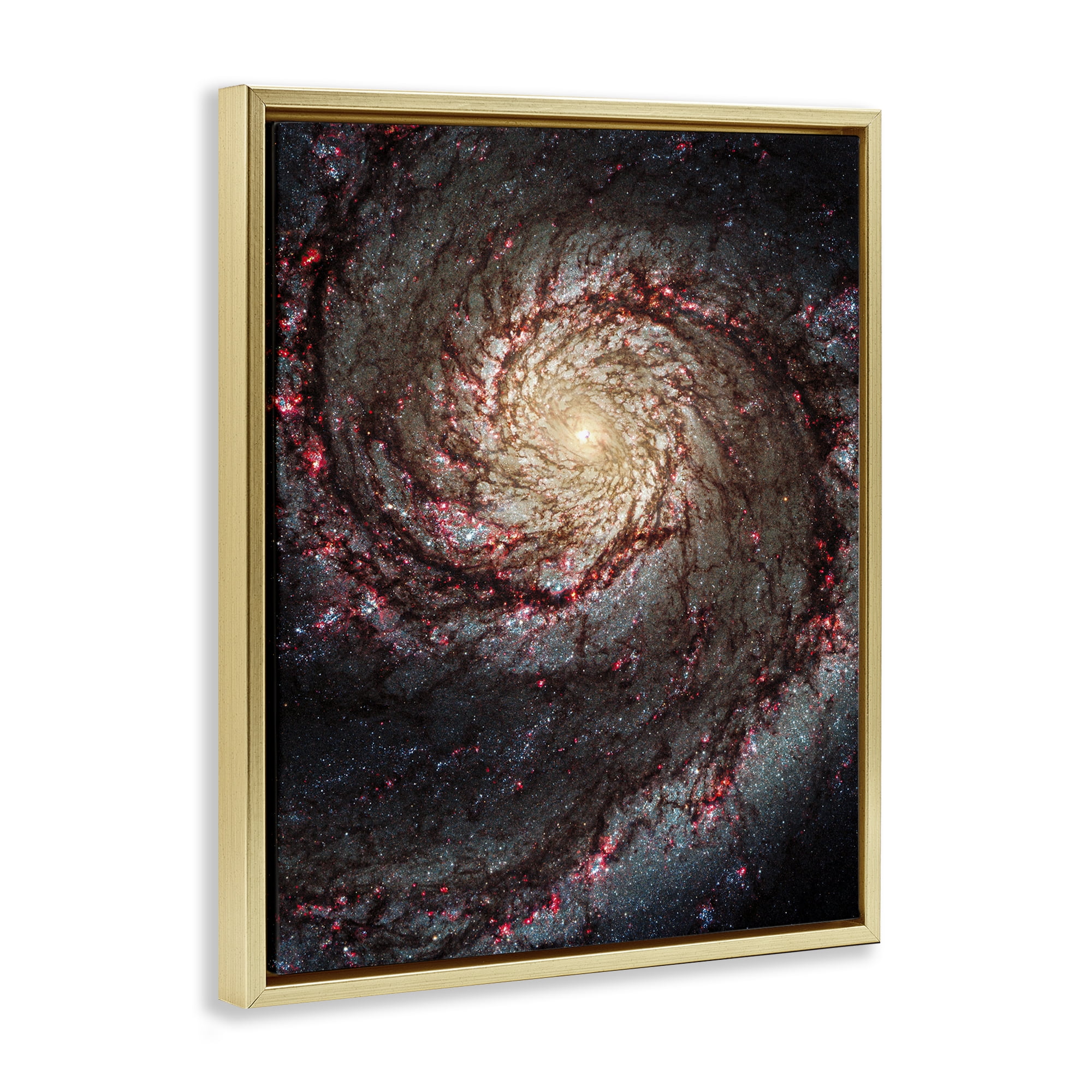 Stupell Industries Great Beyond Nebula Animals & Insects Photography Gold Floater Framed Art Print Wall Art, 17 x 21