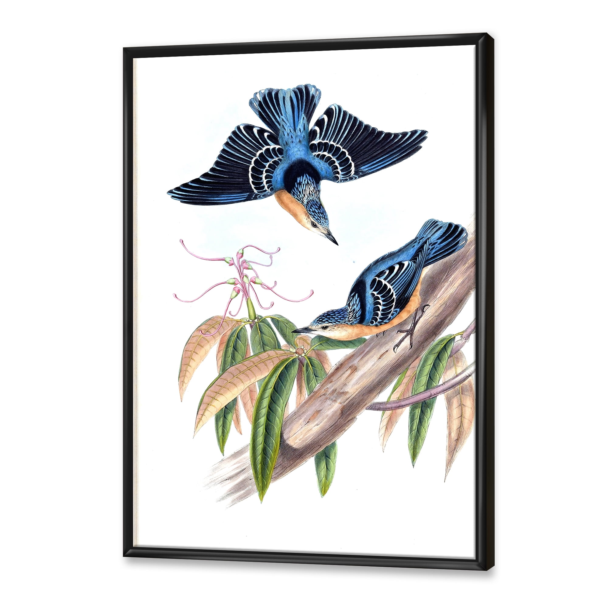 Vintage Countryside Birds On Branch V 30 in x 40 in Framed Painting Canvas Art Print, by Designart