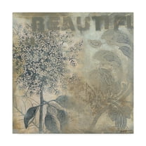 Trademark Fine Art Floral Canvas Art ' Beautiful Flowers I ' by Norman Wyatt