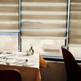 Chicology Dual Layer & Privacy FreeStop Cordless Zebra Roller Shades