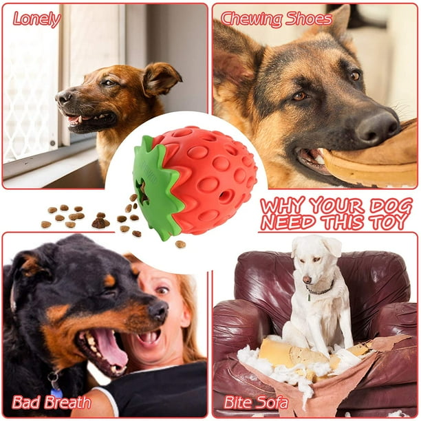 Dog breath chew clearance toys