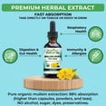 thumbnail image 2 of Lung Cleanse Drops, por qué no extracto natural de hoja de gordolobo, 2 of 6
