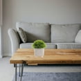 thumbnail image 3 of 1Pc Plant Pot Simple Cement Flower Container Creative Planter (Light Grey), 3 of 9