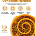 thumbnail image 3 of Hound Fun Feeder Slow Bowl, Slow Feeder Dog Bowl, Medium/Mini, Orange 21*22*5.5cm _Special Gift, 3 of 5