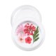 thumbnail image 4 of Decoración de Uñas Flores Secas Natural Conjunto Secas Real Manicura Artes Secas para Decoración de Uñas 2 Yinane Flor seca de uñas, 4 of 8
