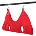 thumbnail image 1 of Pet Grooming Hammock, Sling With 2 Hooks Breathable For Bathing Cleaning Teeth Trimming NailBlack M, 1 of 8