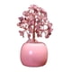 thumbnail image 2 of Árbol de dinero Feng Shui, escritorio, granja, árbol bonsái para el hogar, oficina, sala de estar Rosa, 2 of 7