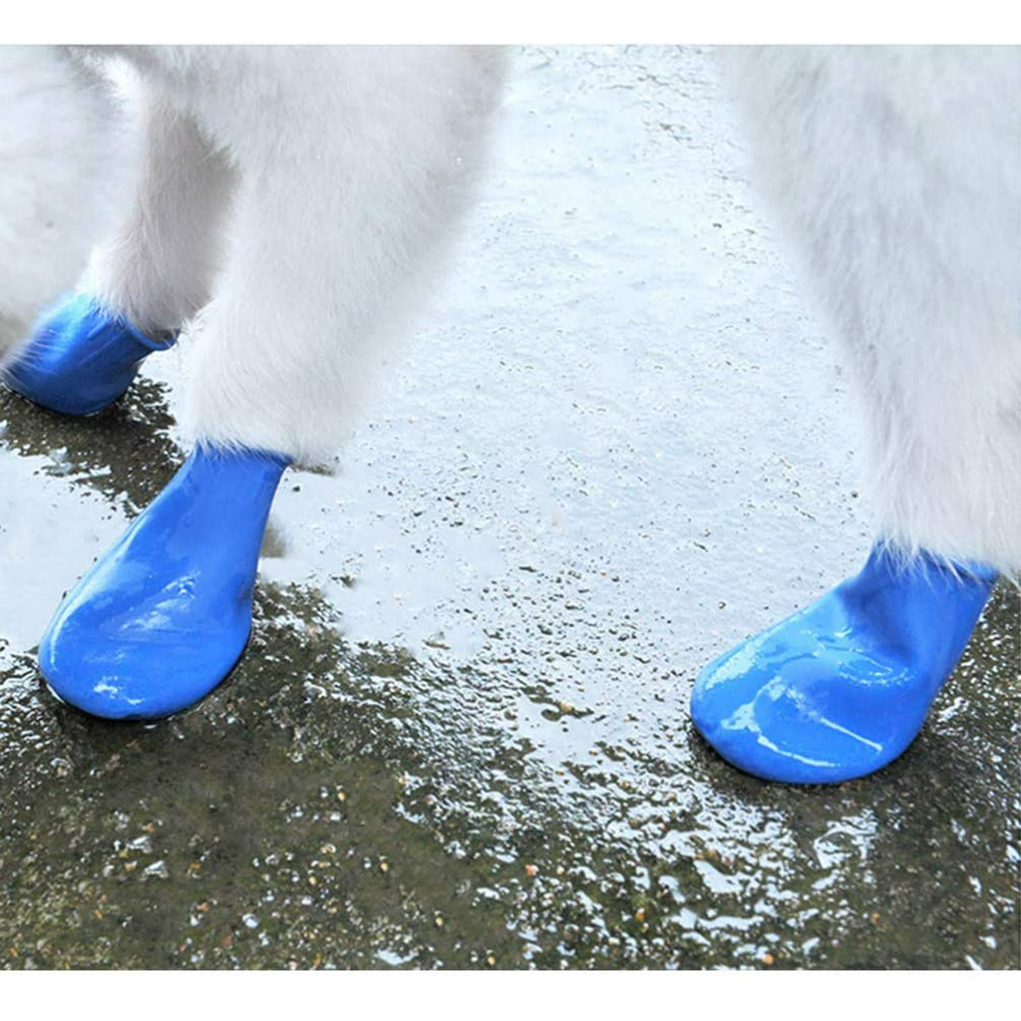 Dog balloon shoes best sale