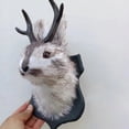 thumbnail image 2 of Sunsent Jackalope Deer Head Antlers Wall Hanging Decoration for Home Resin Art Ornaments Indoor Bedroom Deer Housewarming Gift, 2 of 7