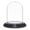 Black Wood Veneer Base, variant on Plymor 2.5" x 3.5" Small Glass Display Dome Cloche (Walnut Veneer Base)