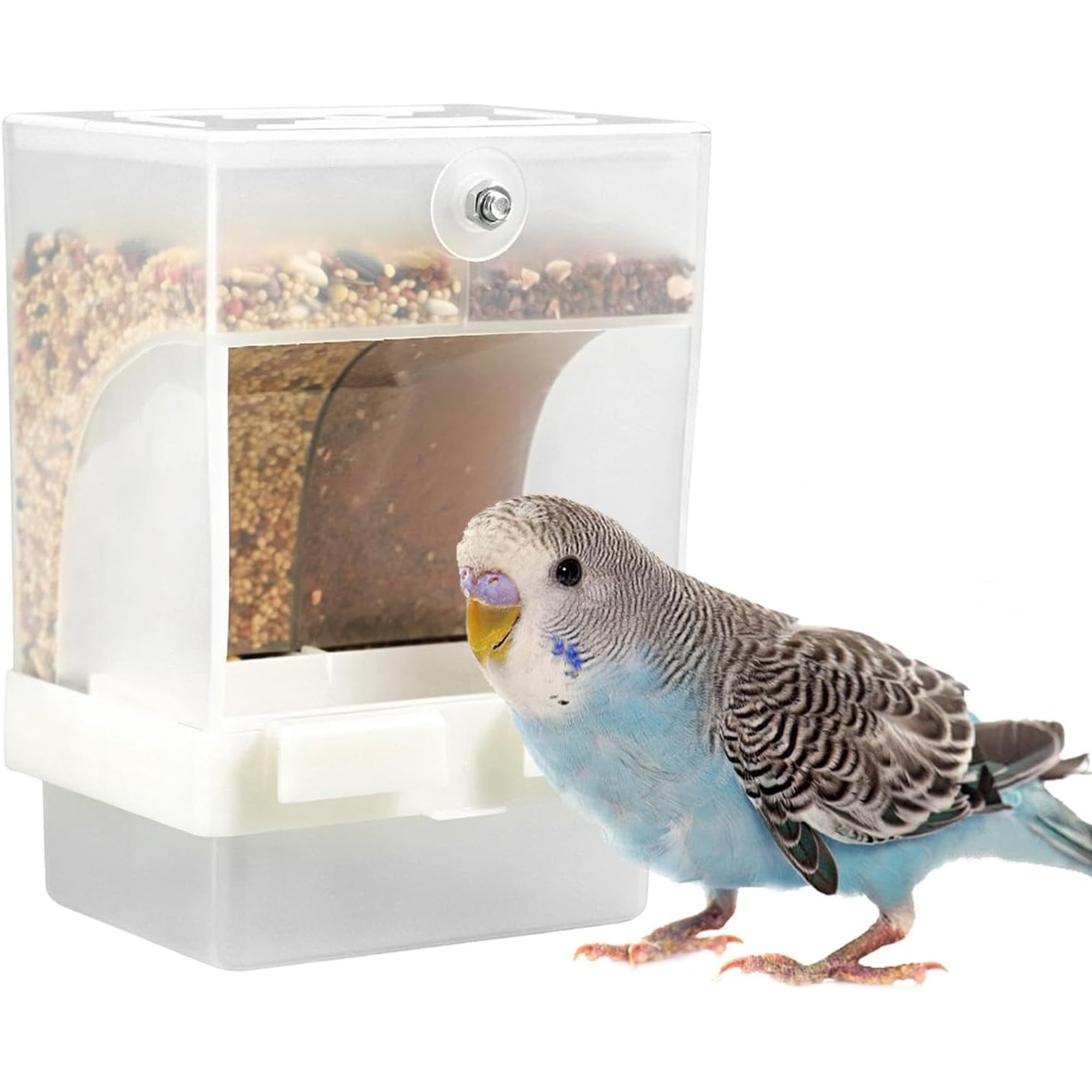 Double Compartment Automatic Bird Feeder, Clear Acrylic Seed Container, for Budgies, Canaries, Finches and Small Birds