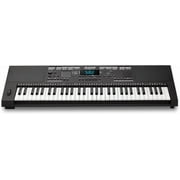Alesis Harmony 61 Pro Portable Keyboard