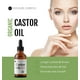 thumbnail image 5 of Aceite de Ricino Orgánico Kate Blanc 100% Puro Prensado en Frío para Pestañas, Cejas y Cabello, 5 of 7