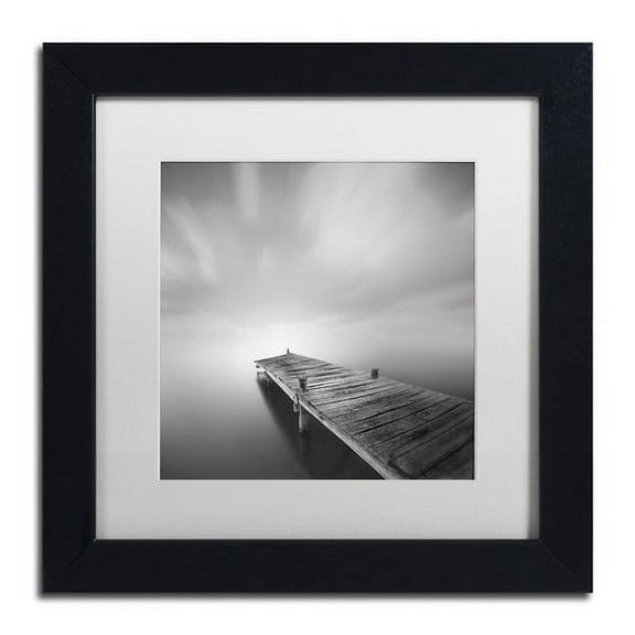 Trademark Fine Art "Destiny IVb" Canvas Art by Moises Levy White Matte, Black Frame