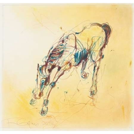 bucking horse study poster print by fran gynn