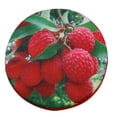 thumbnail image 2 of Cojín de respaldo para silla de oficina con estampado 3D de fruta, almohada acogedora para sofá, color lichi, 2 of 9