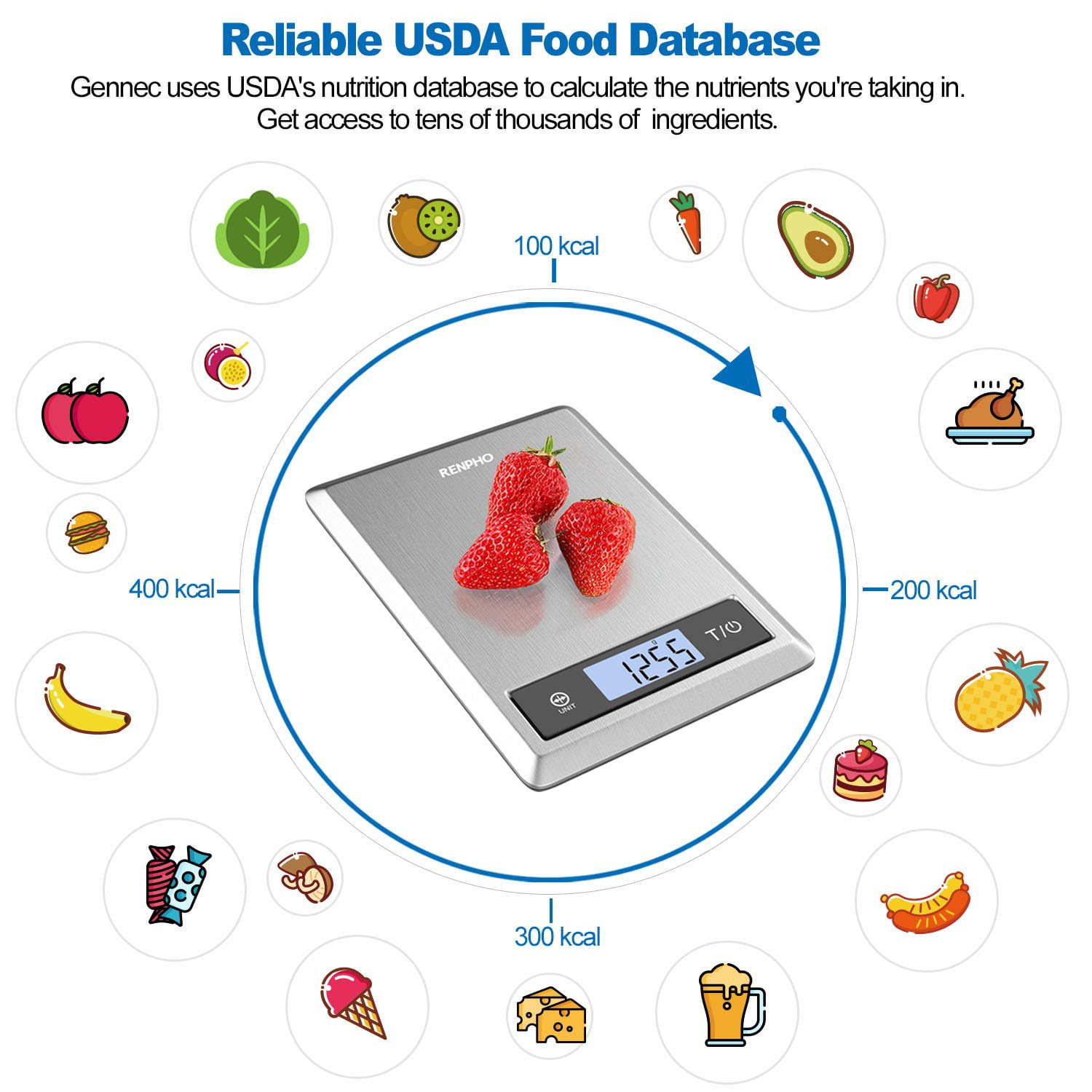 Smart Food Scale 2 – RENPHO US