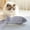 🔥 C_New, variant on KITTEHIGM Soft Stuffed Dog Chew Doll Toy, Safe Teething Supply for Pet Daily Molar Grinding and Indoor Leisure Play Activities