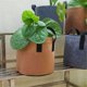 thumbnail image 4 of Heavy Duty Fabric Pots,Vegetable/Flower/Plant Grow Bags,Thickened Non-Woven Fabric Pots with Handles (5 Gallons), 4 of 5