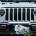thumbnail image 5 of License Plate, Arctic Wolf Portrait Decorative Front,Personalized Stainless Steel License Plate Cover For Men Women,12.2" X 6.2", 5 of 6