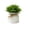A, variant on Realistic Artificial Potted Grass Plant Ball,Lifelike Faux Greenery Desktop Ornament with Home Office Shelf Living Room Table Decor No Maintenance