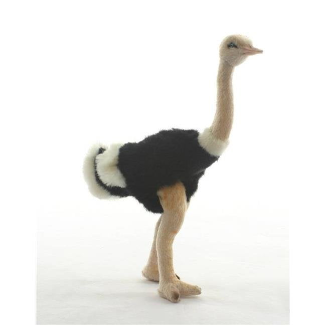 ostrich teddy