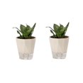 thumbnail image 1 of Macetas sin riego Macetas autoabsorbentes Macetas suculentas de orquídeas de balcón de plástico, 1 of 13