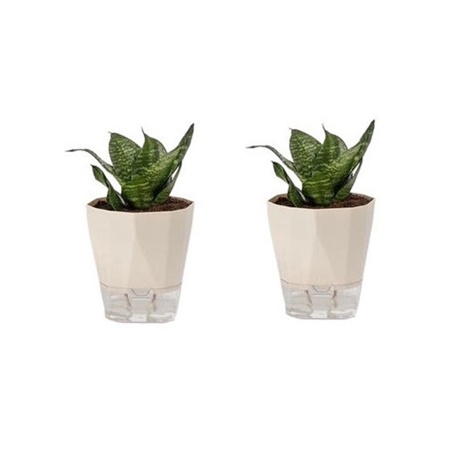 Macetas sin riego Macetas autoabsorbentes Macetas suculentas de orquídeas de balcón de plástico