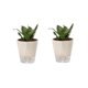 thumbnail image 1 of Macetas sin riego Macetas autoabsorbentes Macetas suculentas de orquídeas de balcón de plástico, 1 of 13