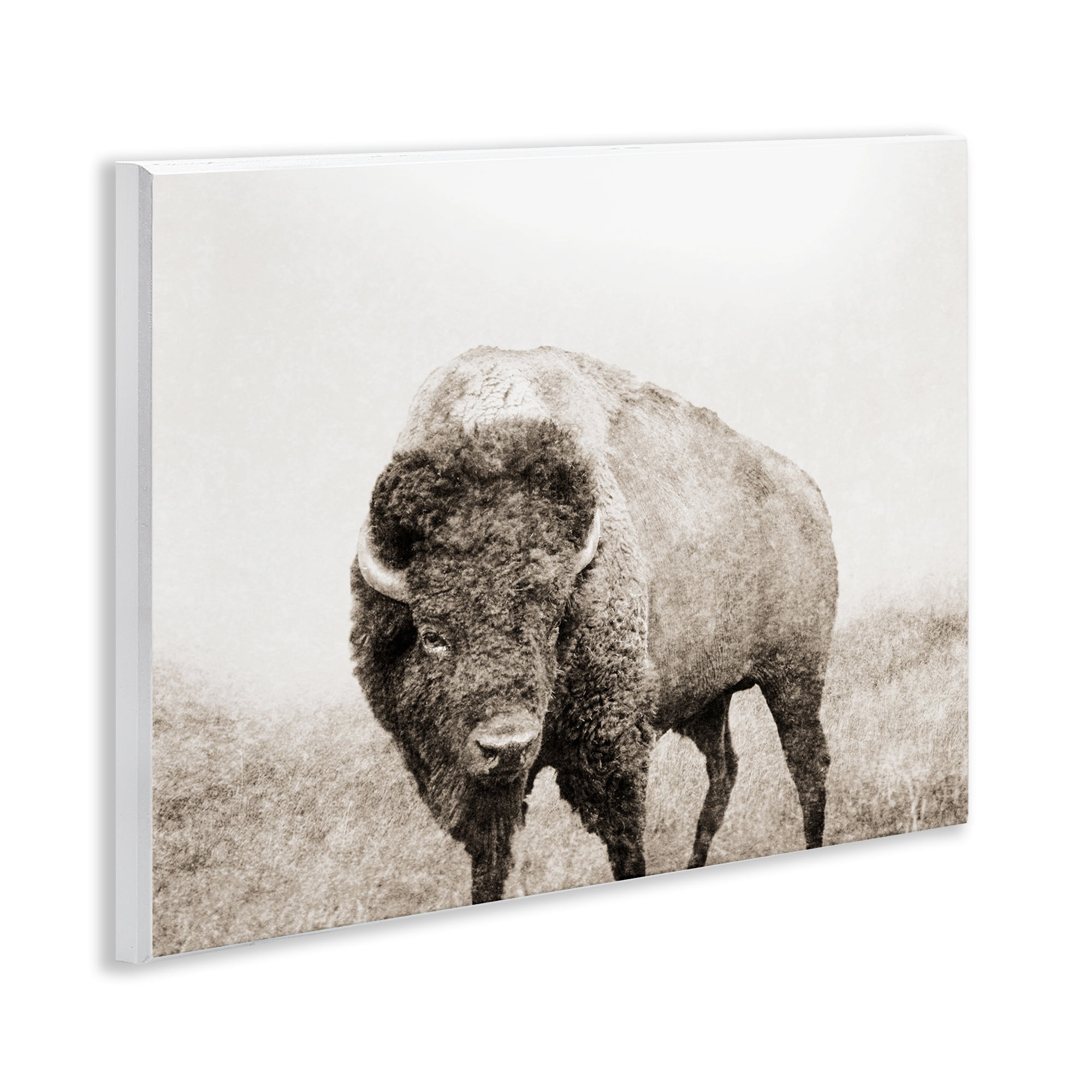 Stupell Industries Bison Distressed Portrait Animals & Insects Photography Unframed Art Print Wall Art, 14 x 11