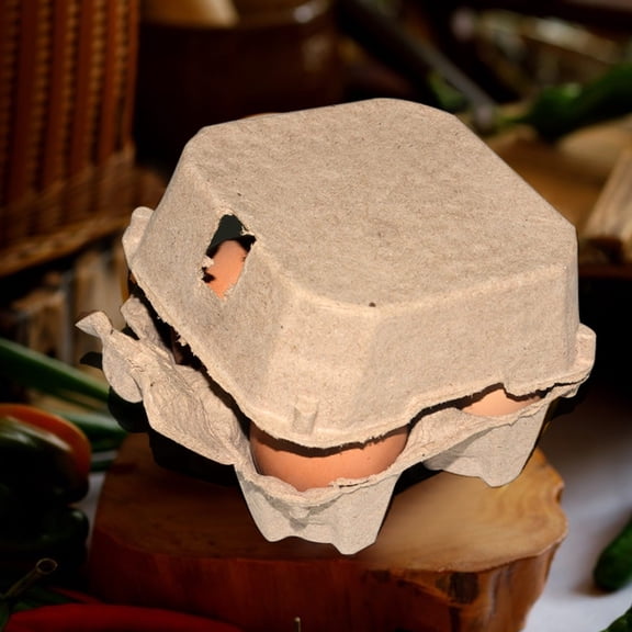 25PCS Egg Cartons,Blank Natural Paper Pulp Square Cartons Eggs, Classical Holds Up to 4 Count Chicken Eggs, Sturdy Design Made from Recycled Cardboard